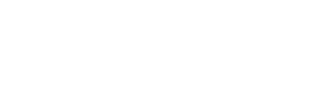 Allied Inspection Services Logo